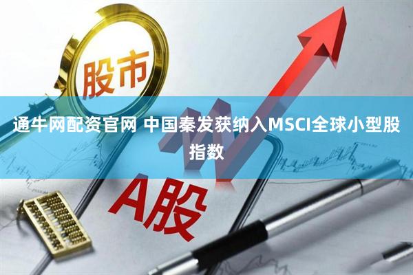 通牛网配资官网 中国秦发获纳入MSCI全球小型股指数